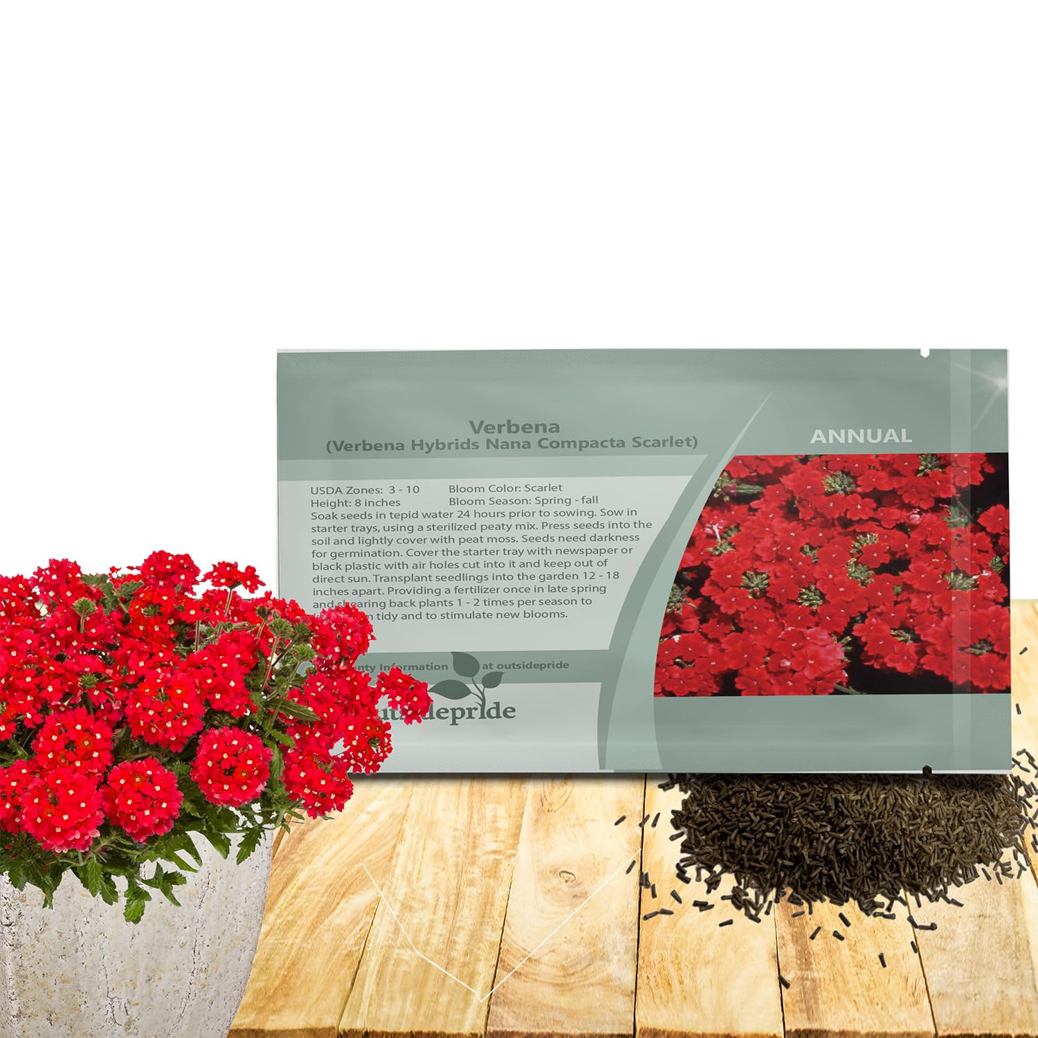 Amazon.com : Outsidepride Scarlet Verbena Seeds for Planting